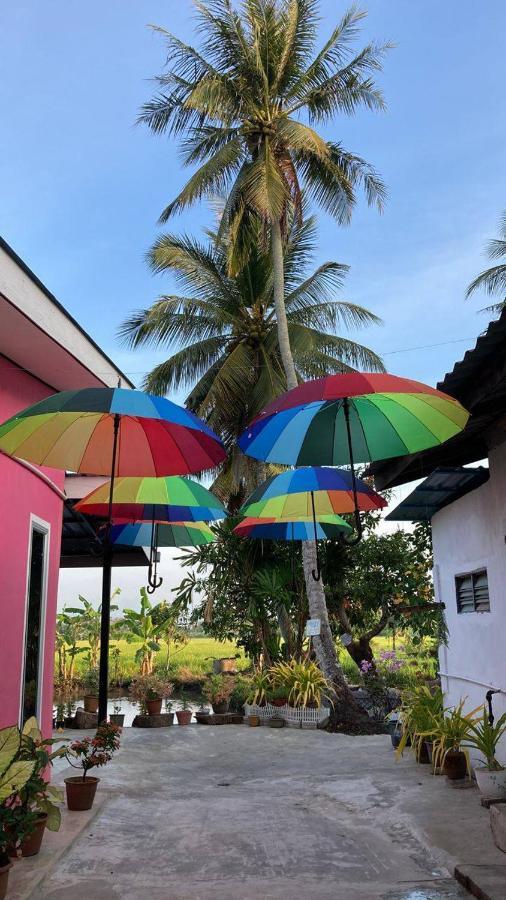 Pink Homestay D'Perlis Kangar Exterior foto
